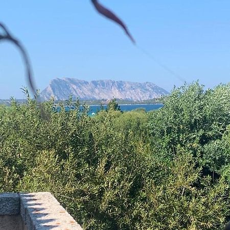 La Cinta Villa San Teodoro  Exterior foto