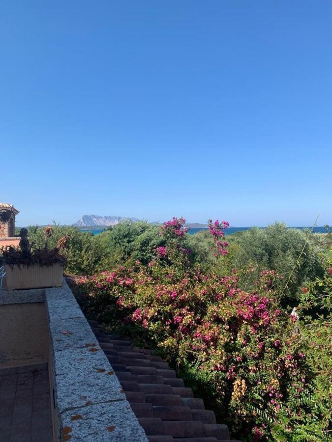 La Cinta Villa San Teodoro  Exterior foto